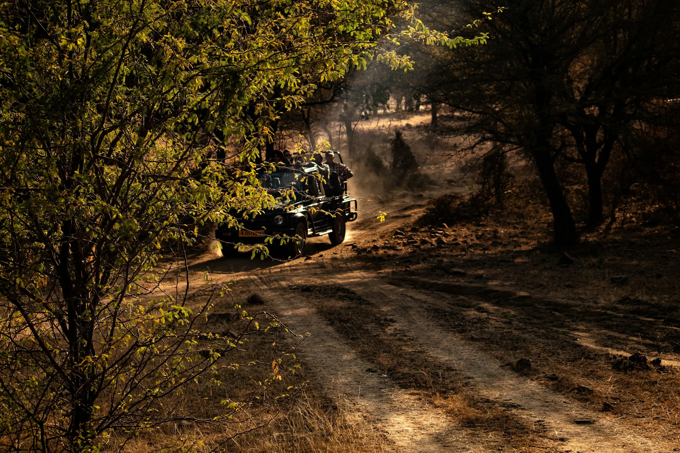 Alanya Jeep Safari: Toros Dağları'nda Macera ve Öğle Yemeği