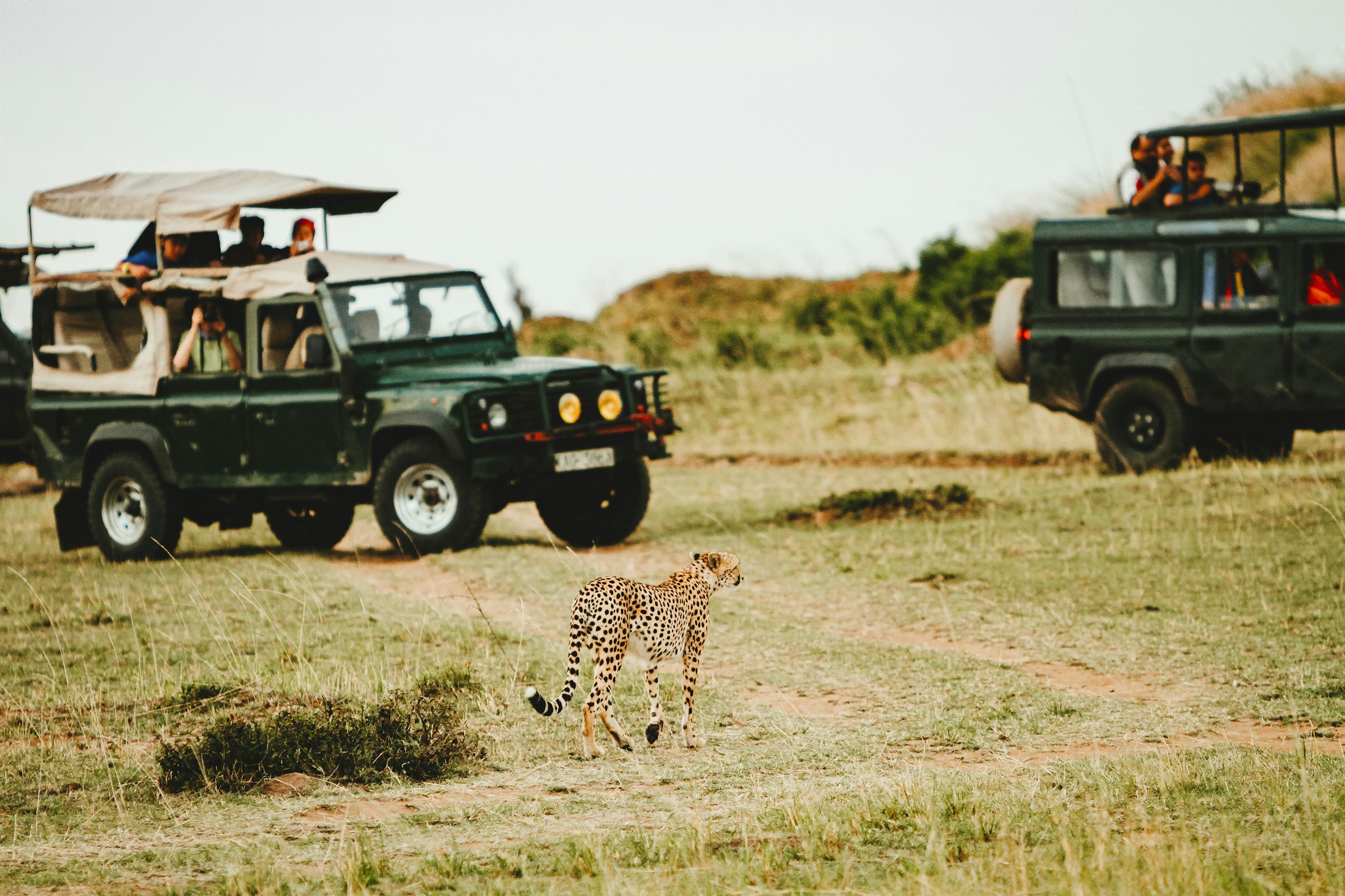 Alanya Jeep Safari: Toros Dağları'nda Macera ve Öğle Yemeği gallery 2
